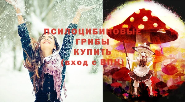 гидропоника Балахна