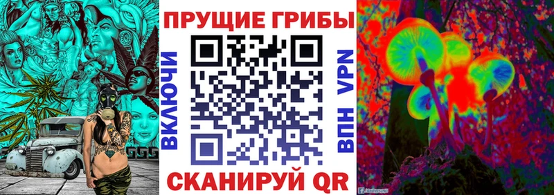 Галлюциногенные грибы Psilocybine cubensis  MEGA зеркало  Барабинск  продажа наркотиков 